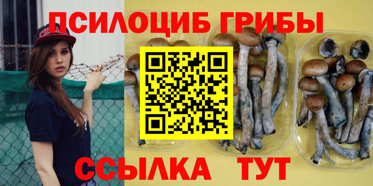 Галлюциногенные грибы Psilocybe  Вход с VPN  Галлюциногенные грибы Psilocybine cubensis  Сыктывкар 