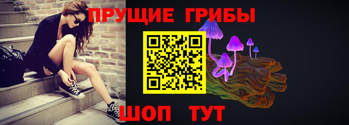 Галлюциногенные грибы GOLDEN TEACHER Сыктывкар